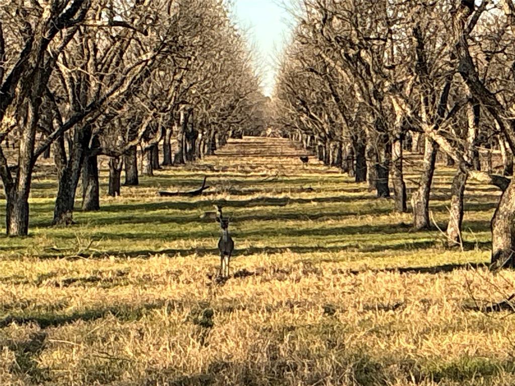 Ranches-Pecan Plantation Ph 2 - Land