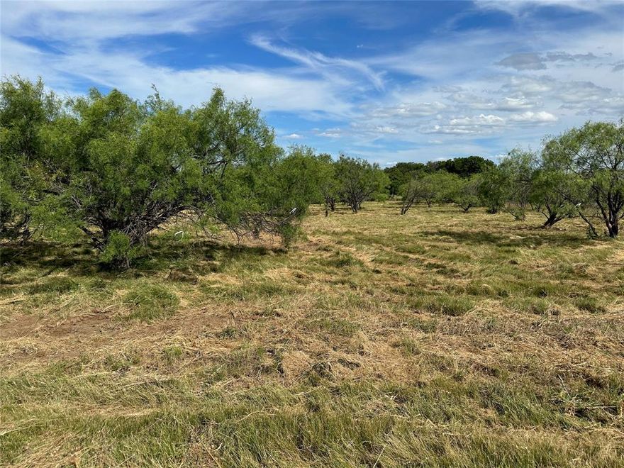 Lots 804 and 805 on Bay Breeze Dr. in the Kings Point Cove Resort Community is a total of 1.42 acres of prime real estate near Lake Brownwood in Central Texas. This lot is fairly level and is ready to build on in the beautiful resort community of King’s Point Cove and the Hideout Golf Club. Utilities are currently available.  Ownership of this property includes 8 free rounds of golf each month on the 18-hole Hideout golf course, 2 free weeks in the RV Park, and unlimited access to multiple amenities including: two pools, hot tub, two playgrounds, sand volleyball court, driving range, putting green, fishing pond, resort lodge, restaurant, RV park, cabins, and more. Plus, a private community boat dock on Lake Brownwood is set to be finished soon, giving you access to even more outdoor activities! Adjoining lot, 803, is for sale also if you want even more land.