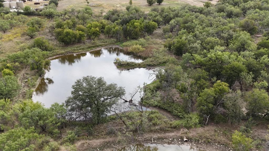 Albany - Residential