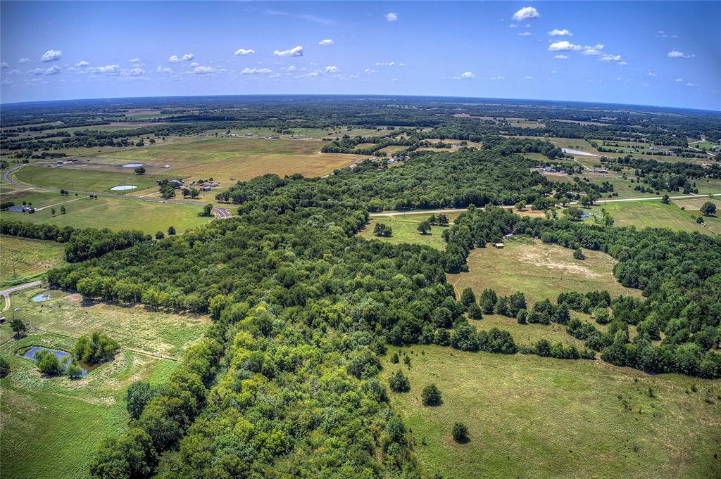 Ann Fry Survey - Land