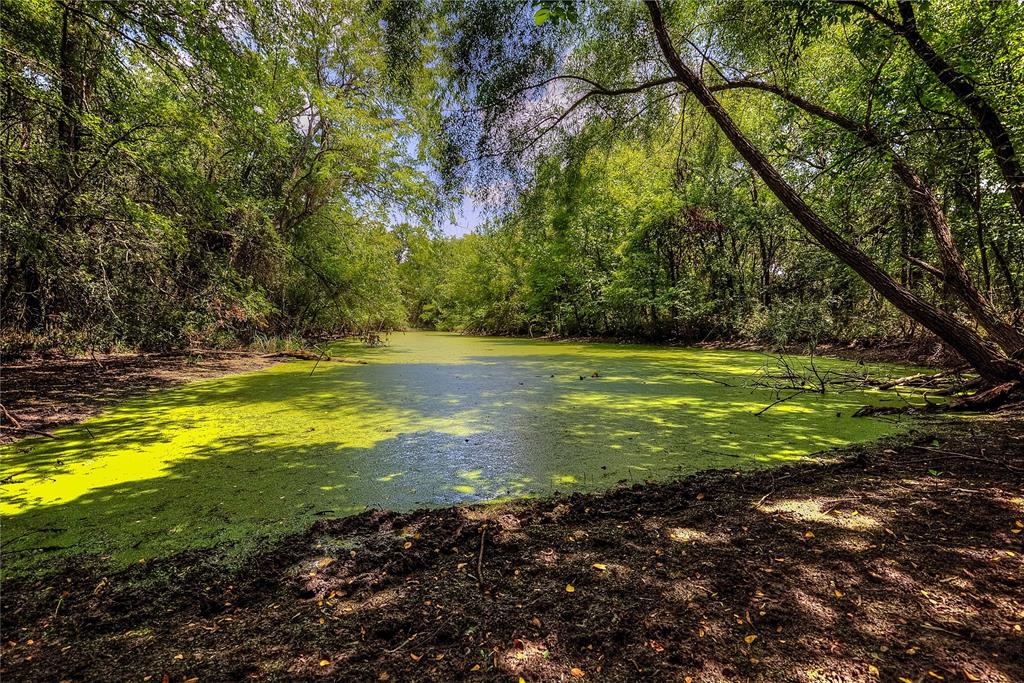 Ann Fry Survey - Land