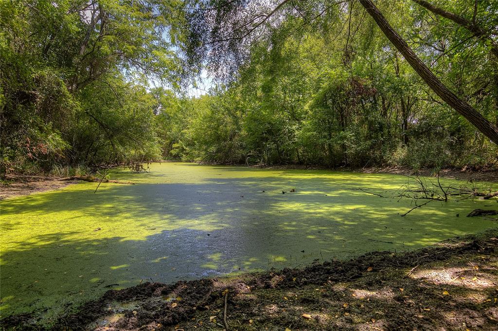 Ann Fry Survey - Land