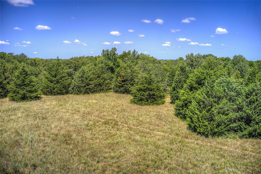 Ann Fry Survey - Land