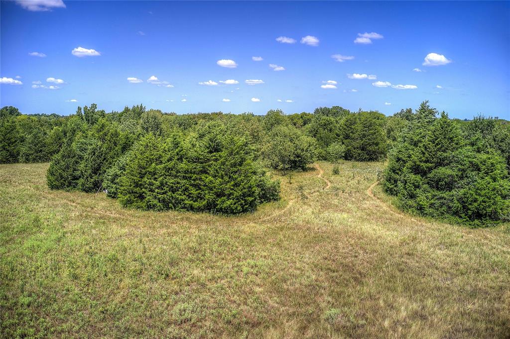 Ann Fry Survey - Land