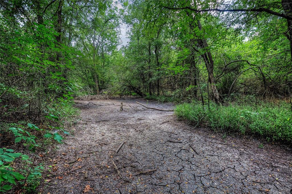 Ann Fry Survey - Land