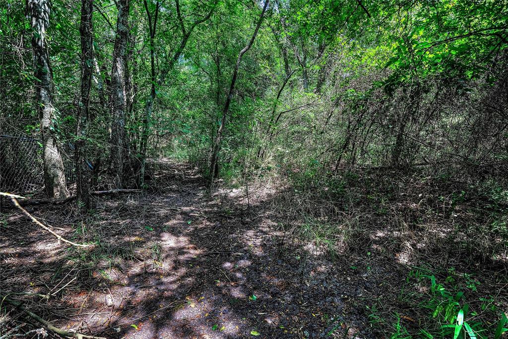 Ann Fry Survey - Land