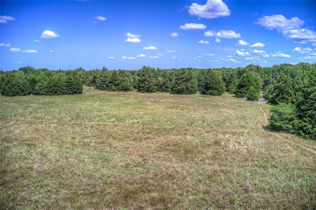 Ann Fry Survey - Land