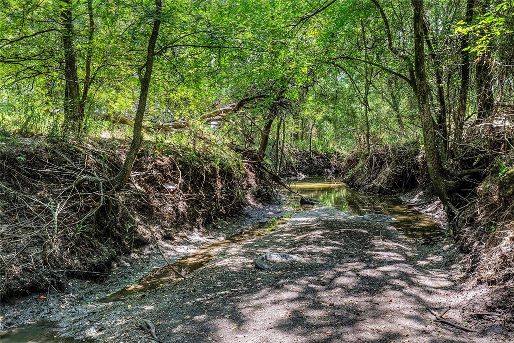 Ann Fry Survey - Land