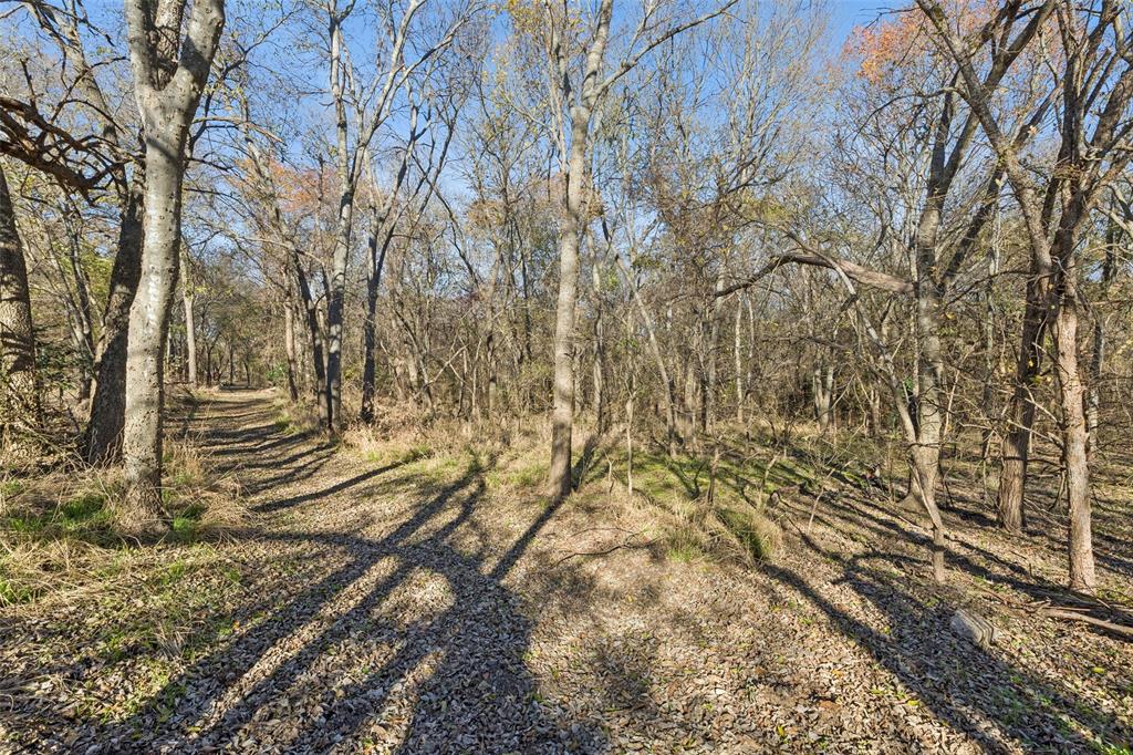 ABS A0028 CALVIN BOLES SURVEY - Residential