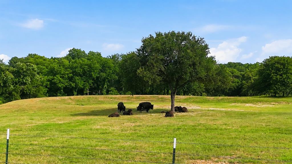 579 County Road 4599