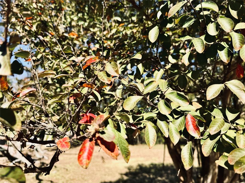 City Of Paris - Land