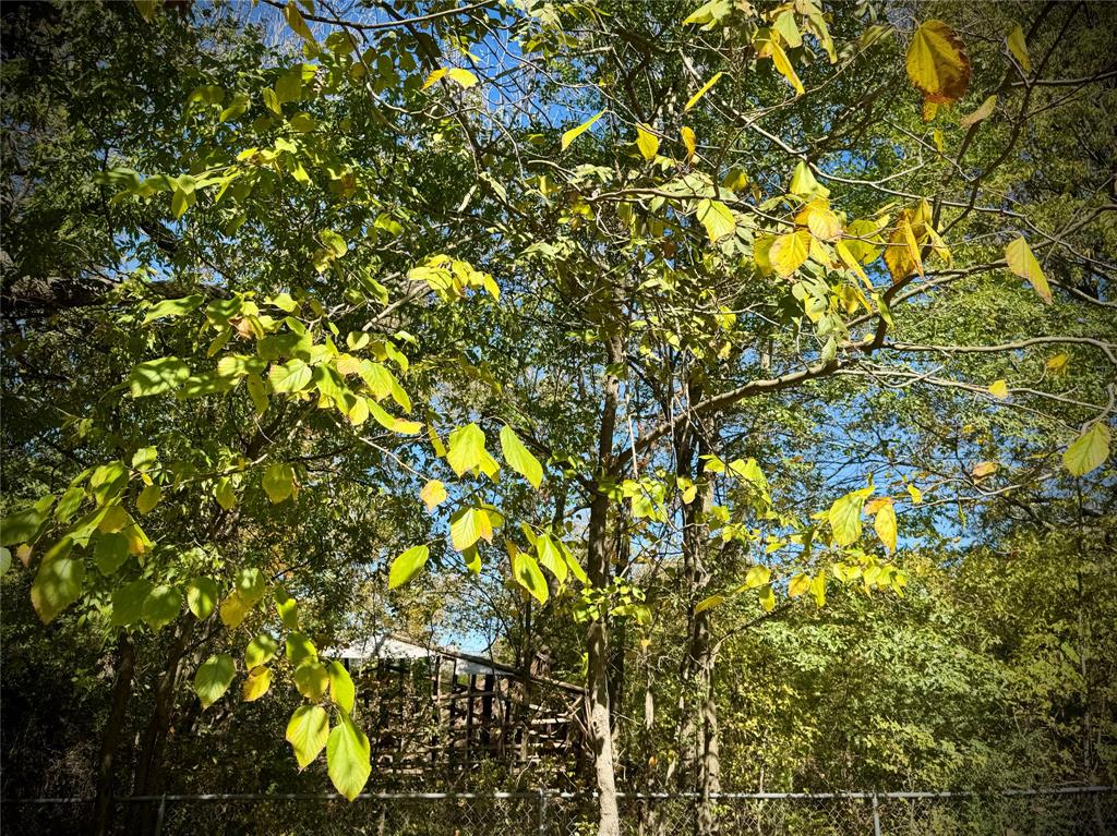 City Of Paris - Land