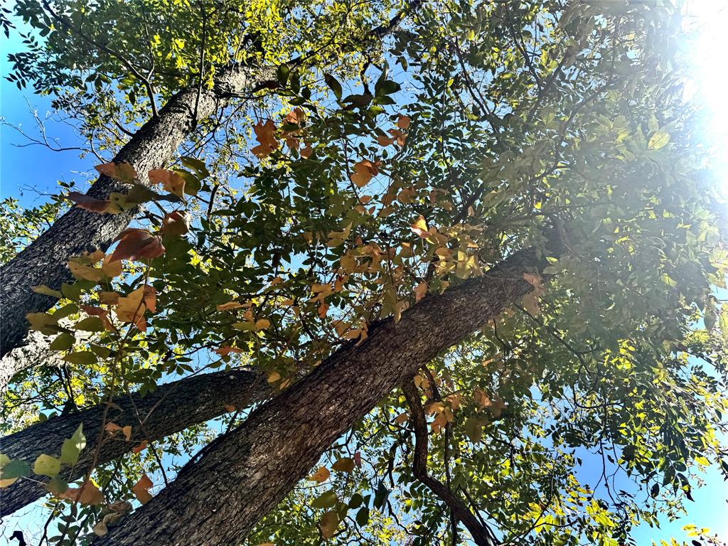 City Of Paris - Land