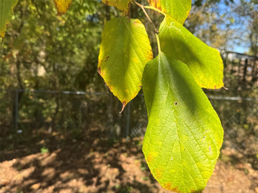 City Of Paris - Land