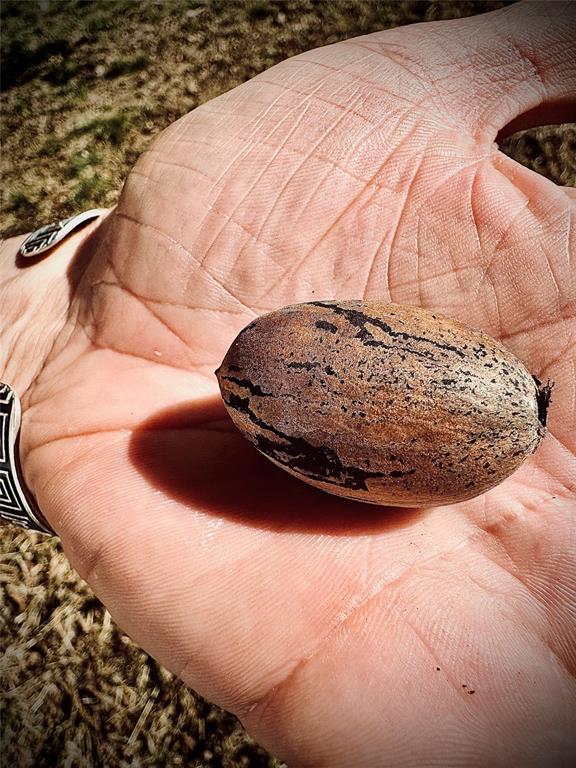 City Of Paris - Land