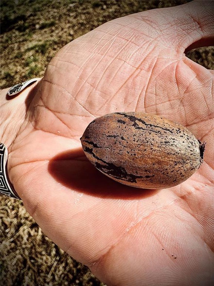 Dreaming of building something fresh, funky, and uniquely yours in the western part of Paris Texas? This 0.207-acre vacant lot in West Paris offers the perfect blank canvas for your next project. Whether you’re an investor looking for a smart addition to your portfolio or a future homeowner with a vision, this roomy lot has the space and flexibility to bring your ideas to life.

With plenty of elbow room and a peaceful neighborhood vibe, the lot is ideal for constructing a custom home, a modern cottage, or a stylish build that complements the character of the area. The mature trees nearby add charm, and the layout gives you the freedom to design your ideal yard, garden, or outdoor space from the ground up.

And here’s the real kicker:
The larger property right next door—complete with great bones, original hardwoods, a brand-new roof, and a bonus detached building—is also available for sale. Purchase both together for a rare investment package, expanding your possibilities. Build on the lot while restoring the home, create a multi-property setup, or unlock long-term value with a side-by-side pair of parcels.

For builders, flippers, dreamers, or anyone who loves a good opportunity, this lot is ready and waiting. Bring your blueprint and imagination—Paris, Texas is calling.
TEXT 903-271-0007