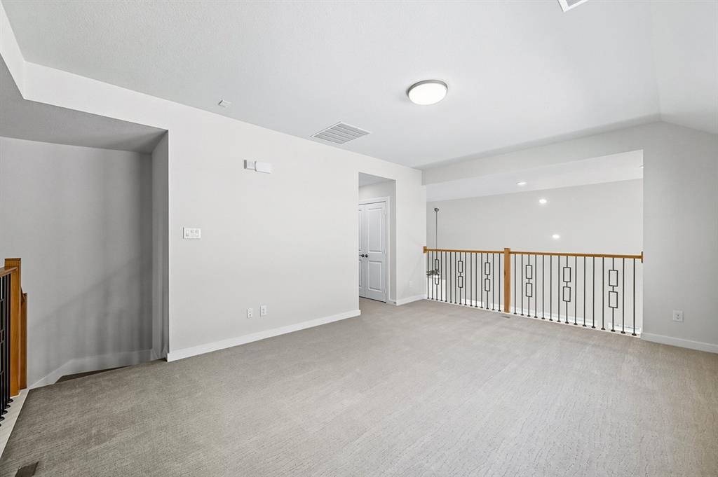 Trinity Falls: Artisan Series - 50' lots - Residential