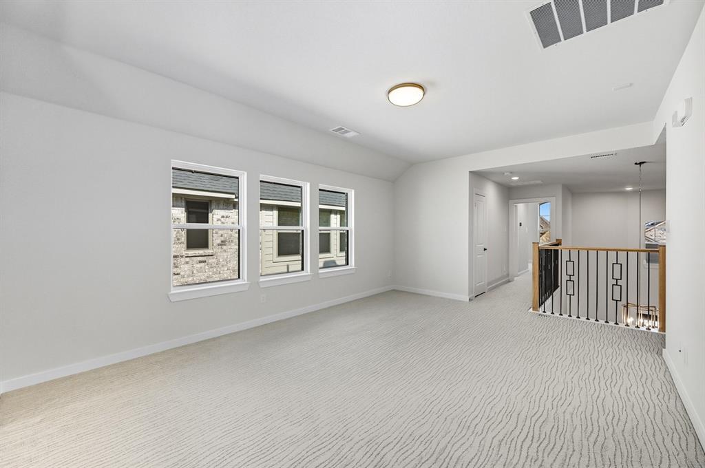 Trinity Falls: Artisan Series - 50' lots - Residential