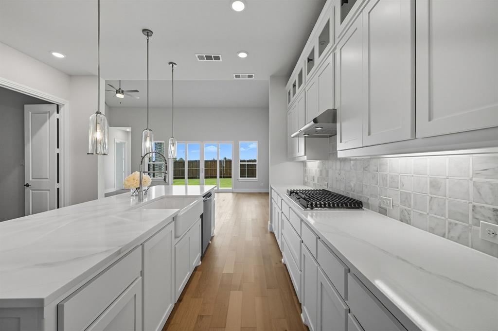 Trinity Falls: Artisan Series - 50' lots - Residential