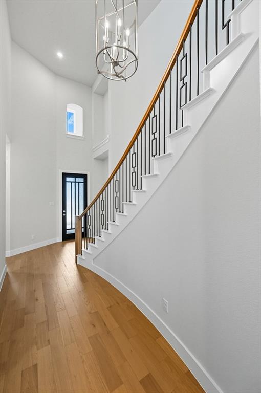 Trinity Falls: Artisan Series - 50' lots - Residential