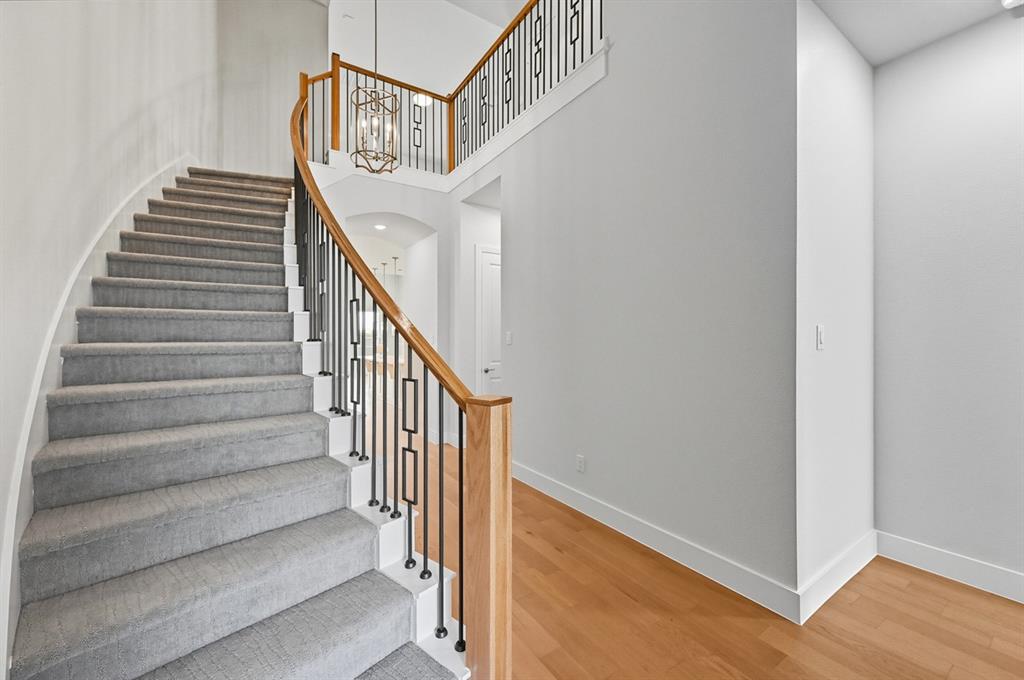 Trinity Falls: Artisan Series - 50' lots - Residential