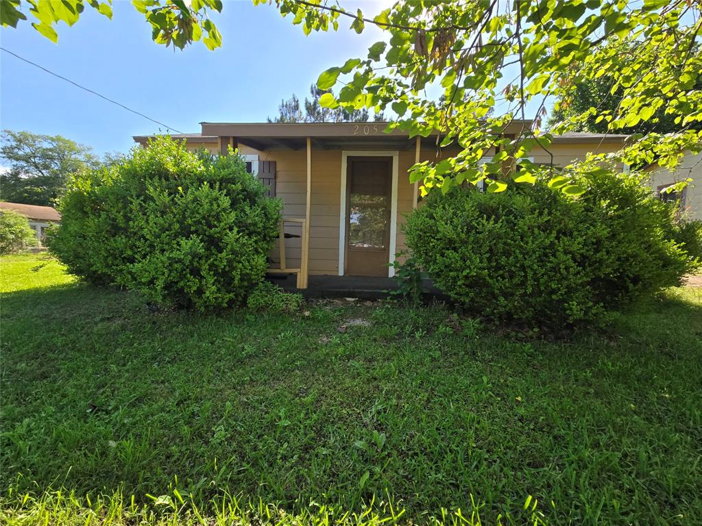 205 Pecan Street