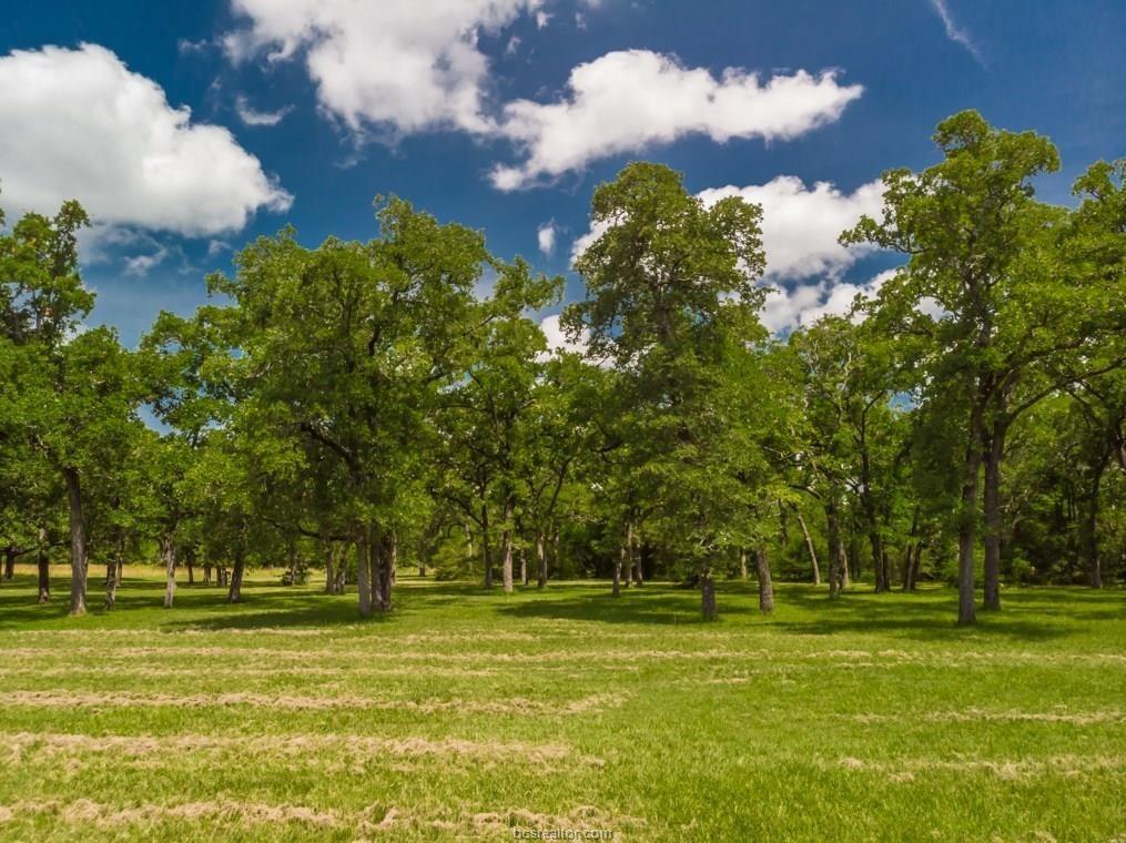 993 Peachtree Cutoff Road