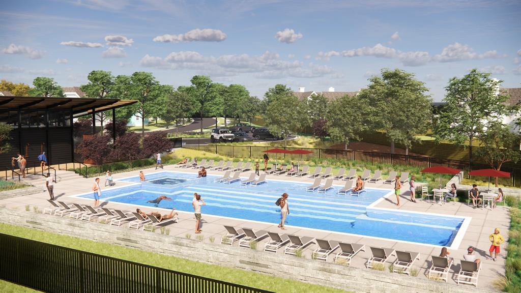 Painted Tree - Residential