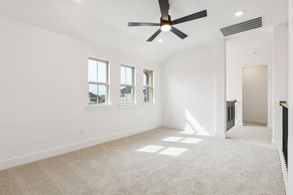 Painted Tree - Residential