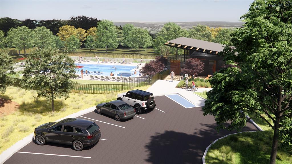 Painted Tree - Residential