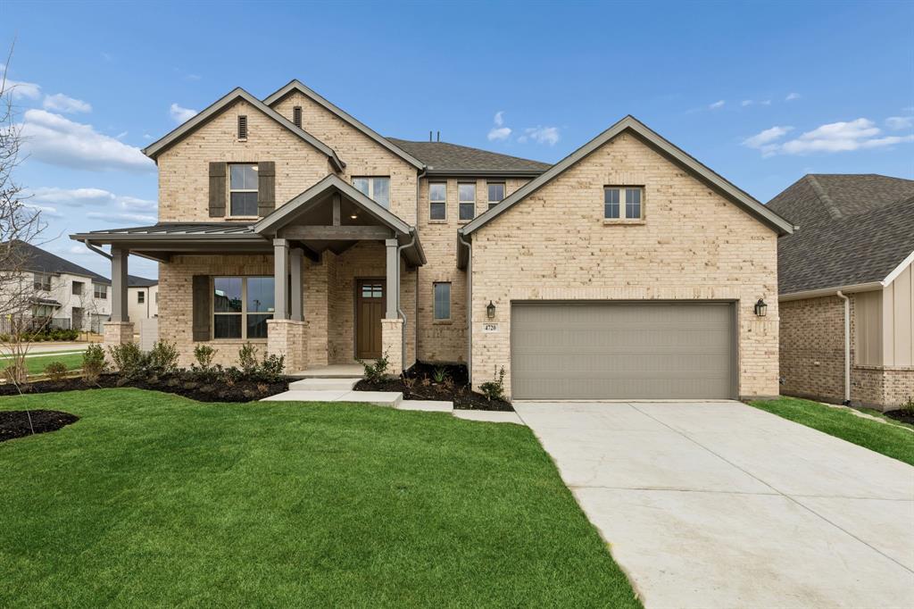 Painted Tree - Residential