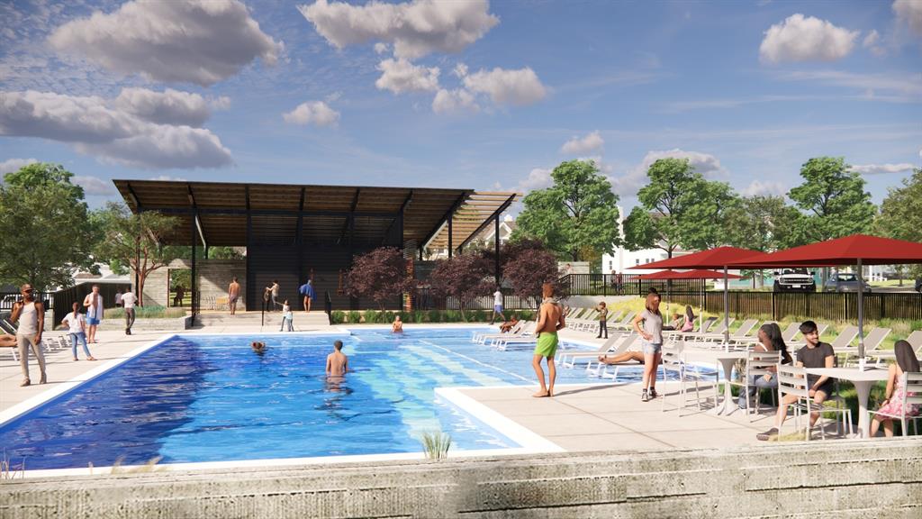 Painted Tree - Residential