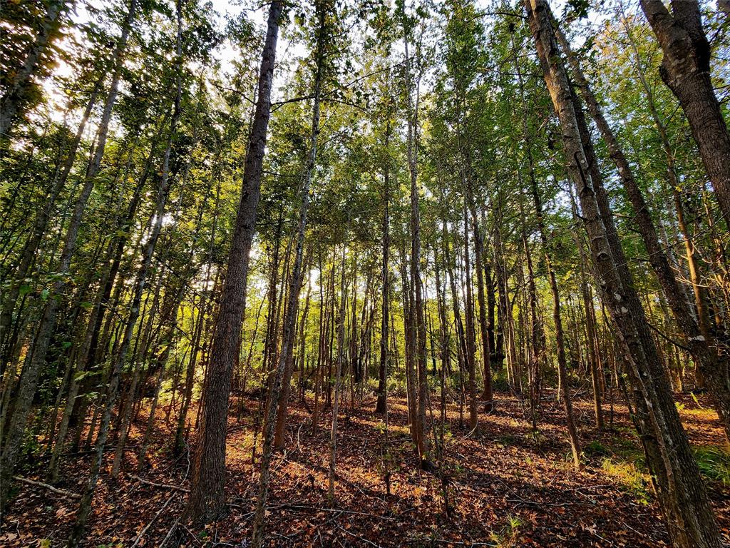 Safari Waters Ranch - Land