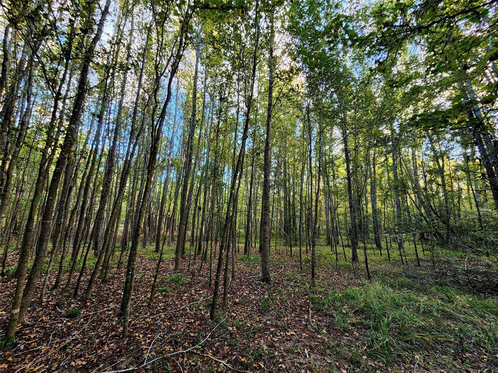 Safari Waters Ranch - Land