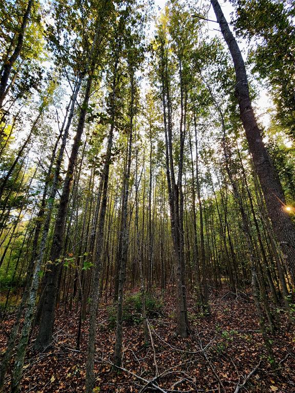 Safari Waters Ranch - Land