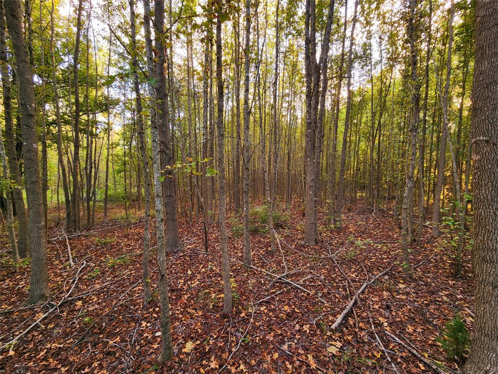 Safari Waters Ranch - Land