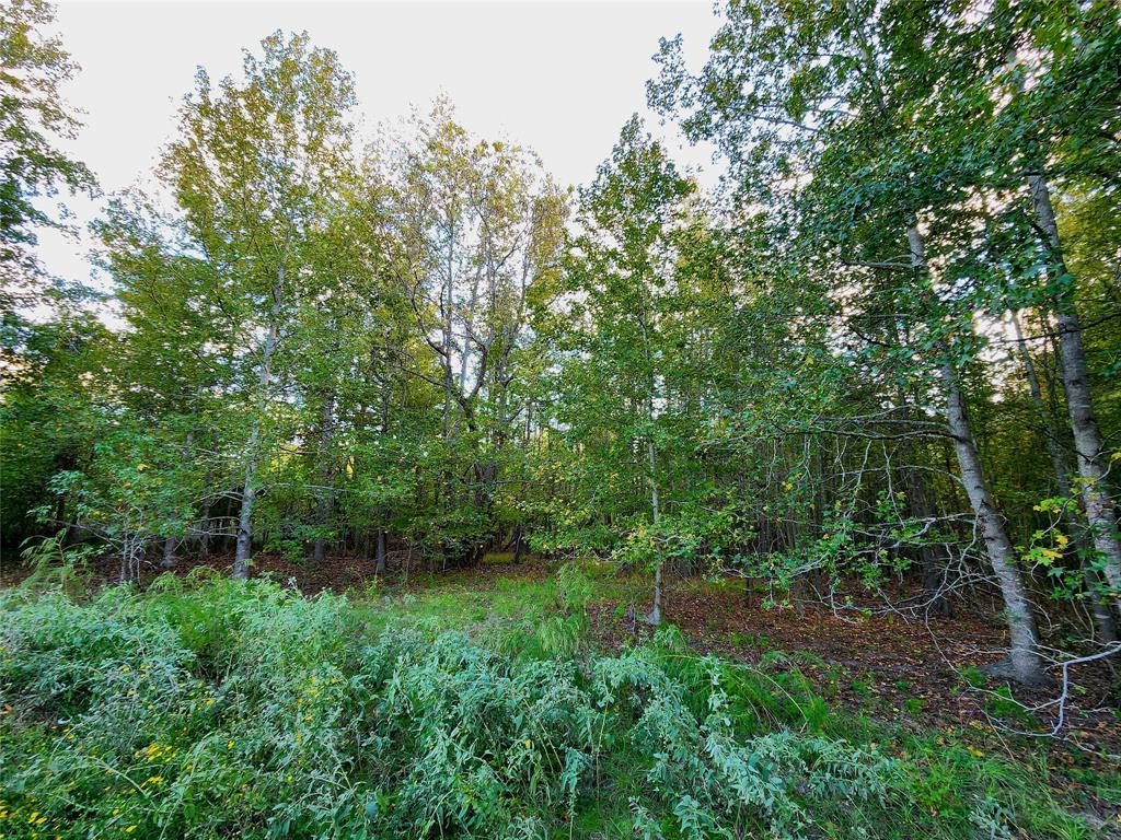 Safari Waters Ranch - Land