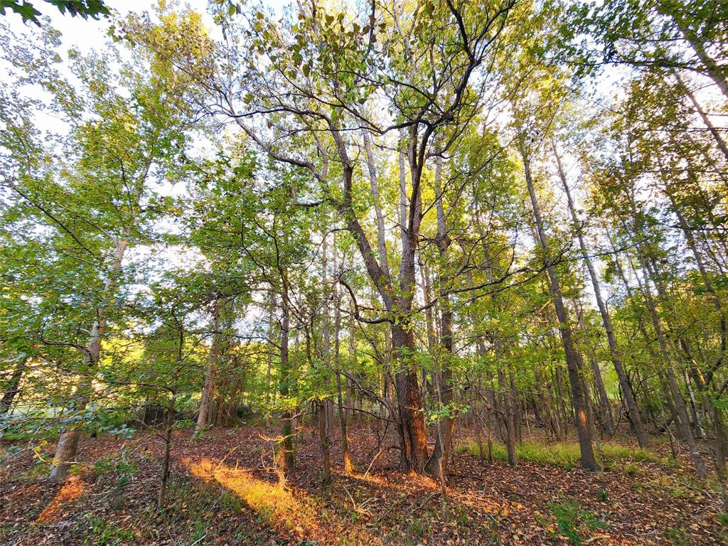 Safari Waters Ranch - Land