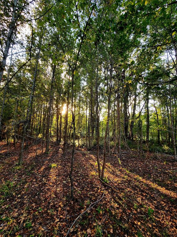 Safari Waters Ranch - Land