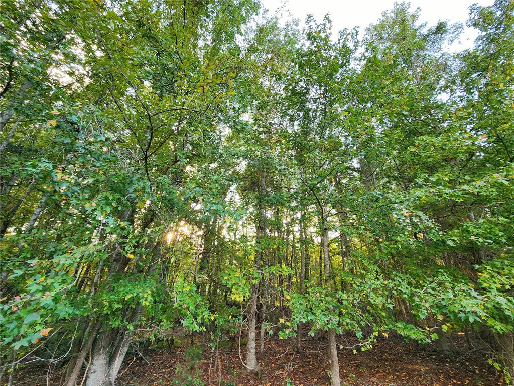 Safari Waters Ranch - Land