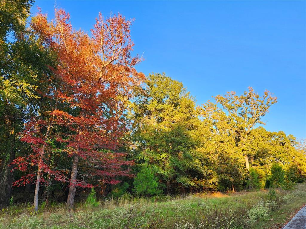 Safari Waters Ranch - Land