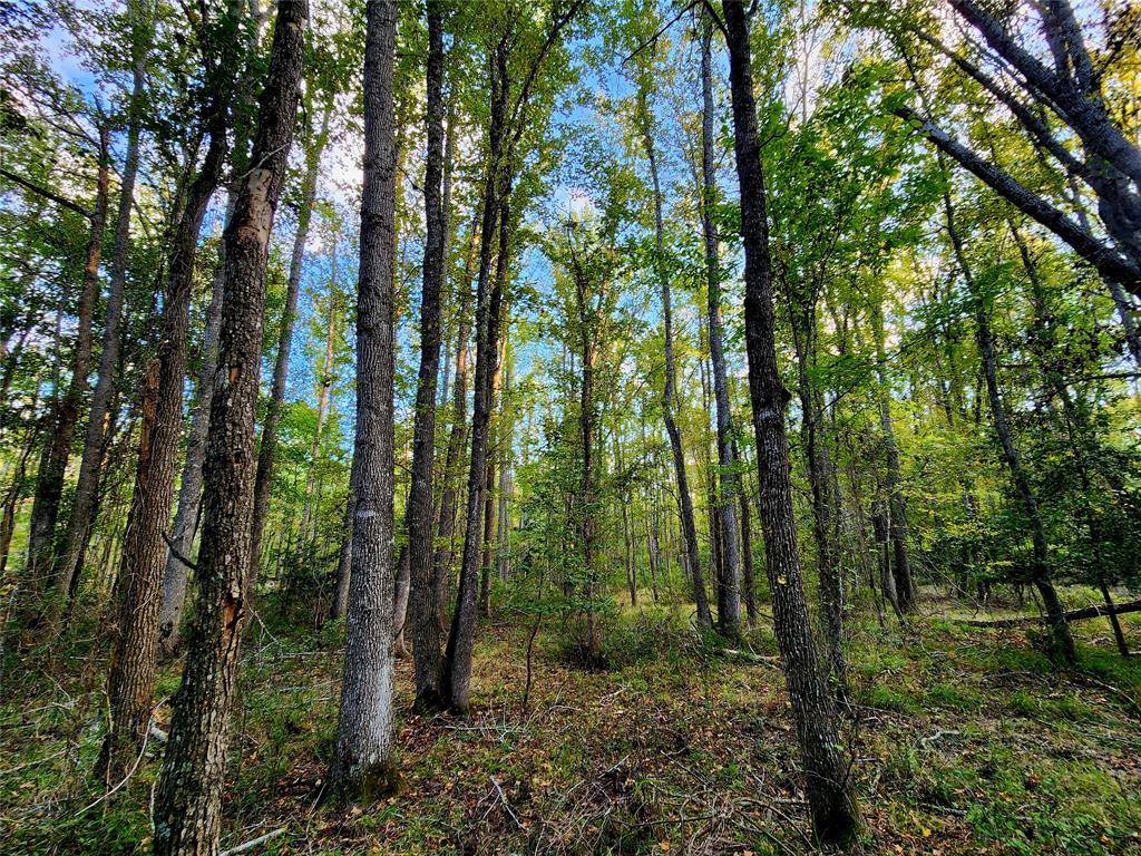 Safari Waters Ranch - Land