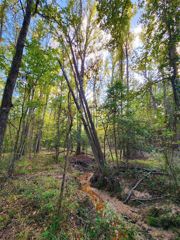 Safari Waters Ranch - Land