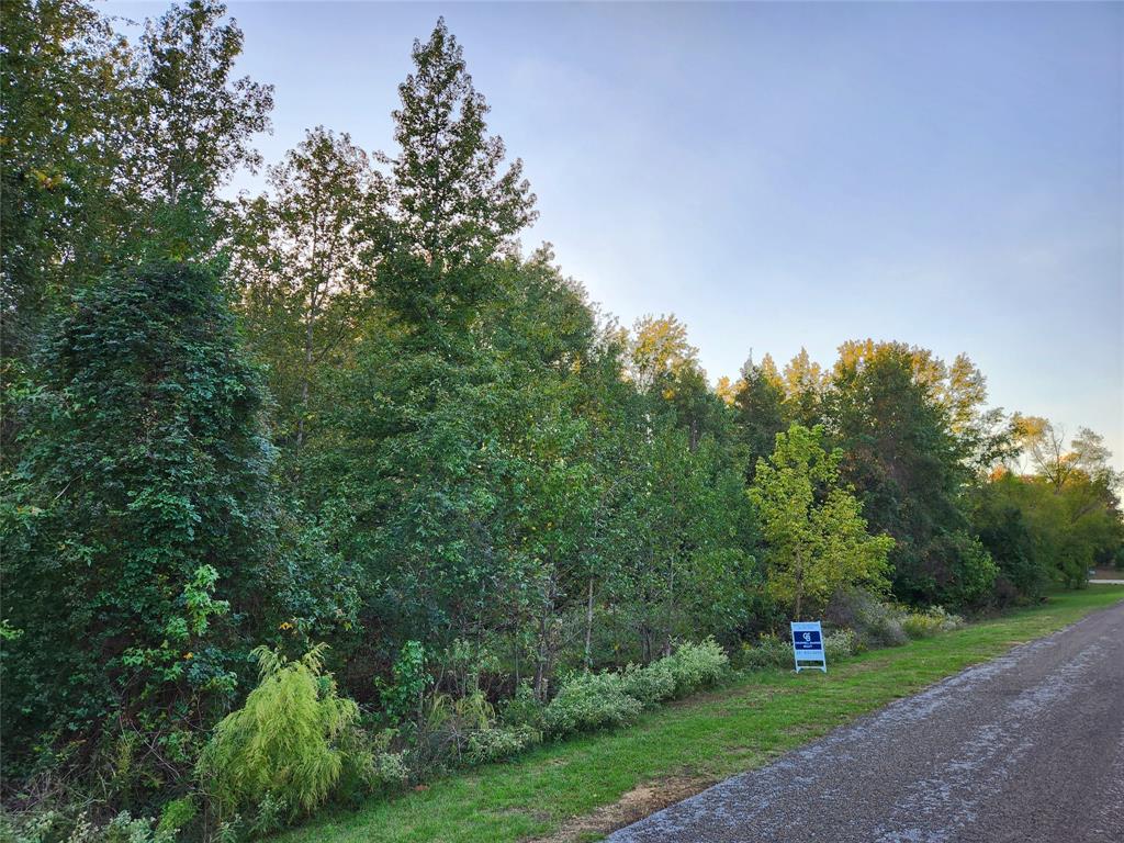 Safari Waters Ranch - Land