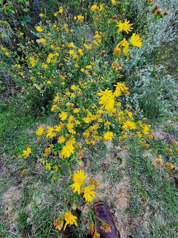 Safari Waters Ranch - Land