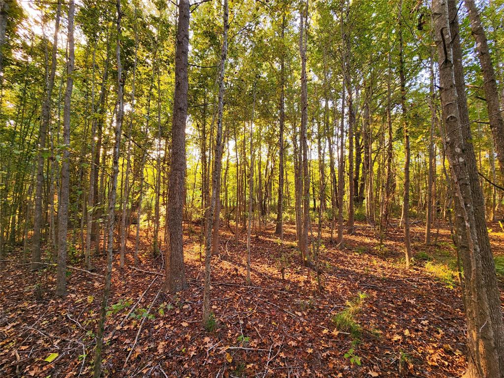 Safari Waters Ranch - Land