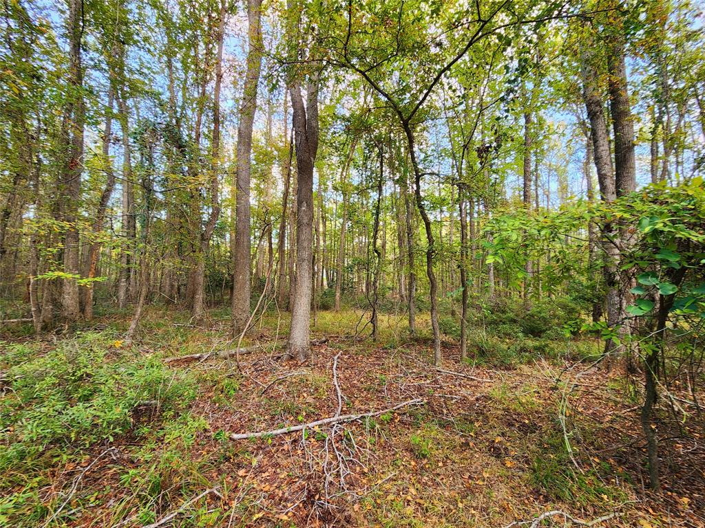 Safari Waters Ranch - Land