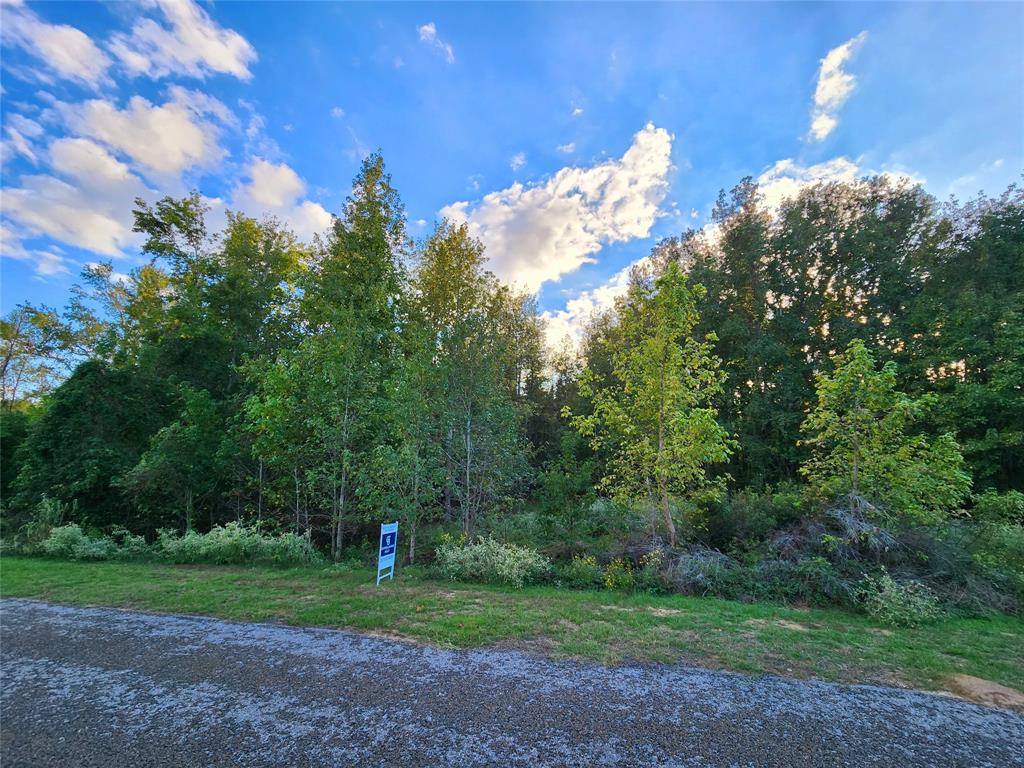 Safari Waters Ranch - Land