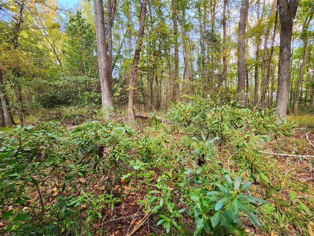 Safari Waters Ranch - Land