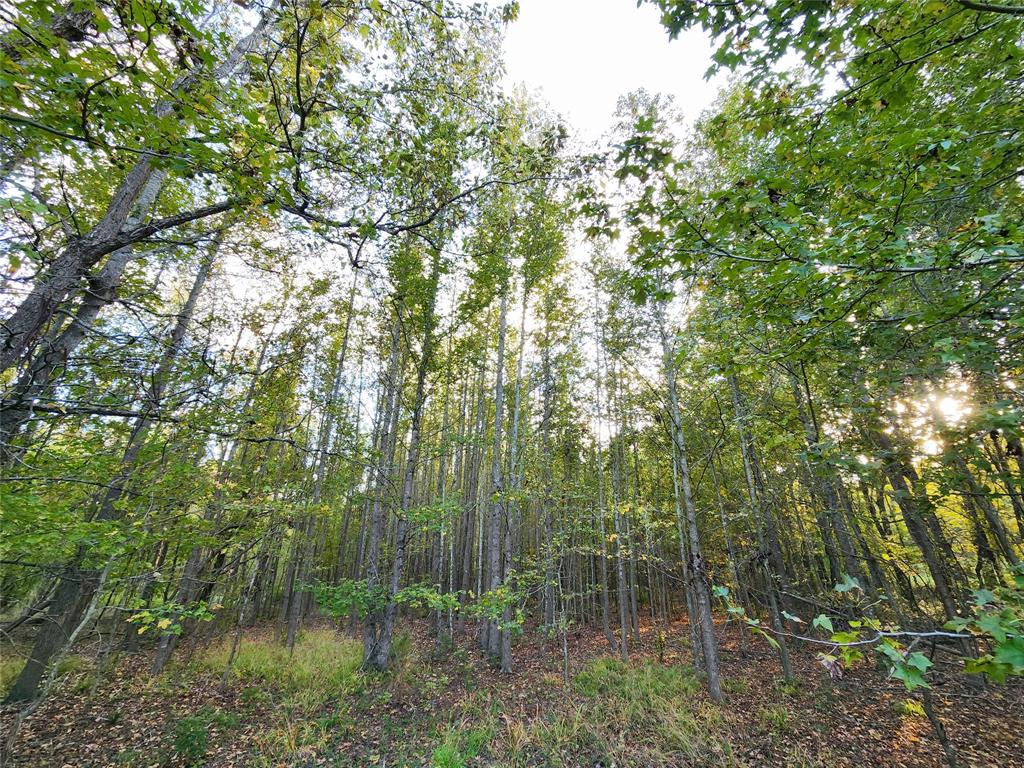 Safari Waters Ranch - Land